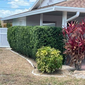 Landscaping by Edward's Lawn Care reviewed on August 16, 2021