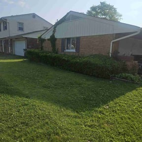 Bush Trimming by Steve’s mowing company reviewed on August 26, 2024