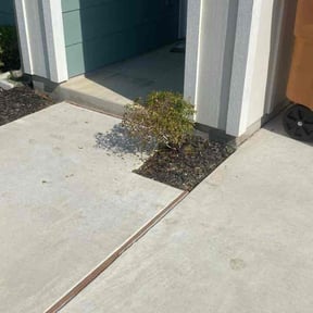 Bush Trimming by Guevara Landscaping reviewed on October 25, 2024