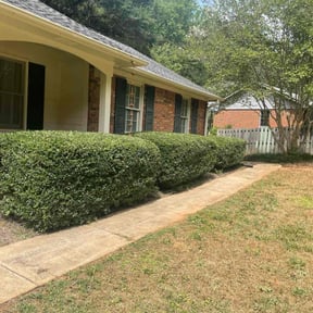Bush Trimming by Grasstastic Landscaping LLC reviewed on June 19, 2025