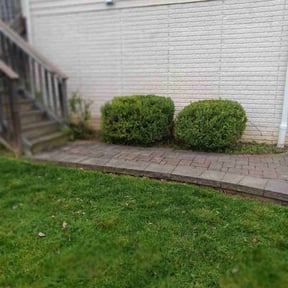Bush Trimming by Lawn services JAV reviewed on June 2, 2025