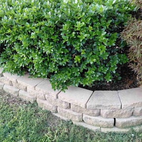 Flower Bed Weeding by Jack Of All Trades Landscape & More/Property Preservationist reviewed on April 4, 2025