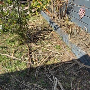 Bush Trimming by Iowa Fence Inc reviewed on May 30, 2022