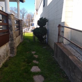 Bush Trimming by MARS reviewed on May 12, 2025