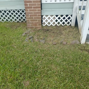 Flower Bed Weeding by Lead the Way Lawncare LLC reviewed on June 8, 2022