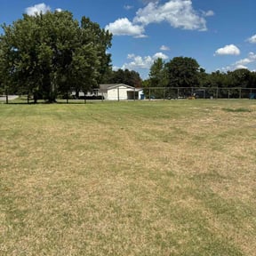 Weeding by LSLTDallas/FortWorthTruGreen reviewed on March 24, 2025