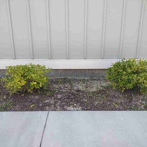 Bush Trimming by Impactt Landscaping, LLC reviewed on August 5, 2022
