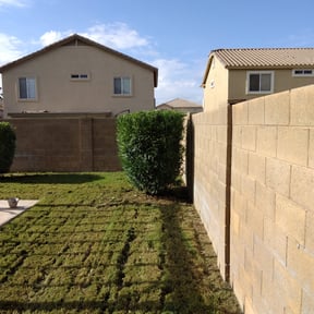 Bush Trimming by Smiley's Landscaping LLC reviewed on August 11, 2025