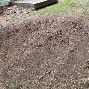 Leaf Removal by Byers Lawn reviewed on June 29, 2022