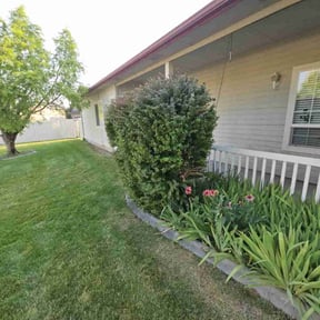 Bush Trimming by C&L landscaping reviewed on April 5, 2022