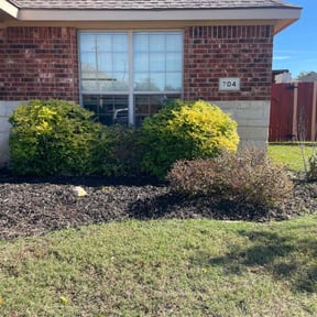 Bush Trimming by Valencia Landscaping reviewed on September 21, 2021