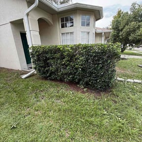 Bush Trimming by Hampton&#039;s Landscaping LLC reviewed on November 26, 2024