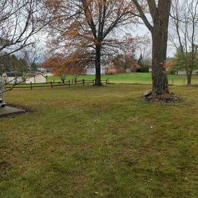 Leaf Removal by Clutch lawn service inc reviewed on May 27, 2022