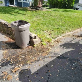 Cleanups by D&G Lawn Care reviewed on May 17, 2022