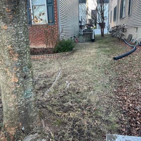 Leaf Removal by Green Missions Landscaping LLC reviewed on May 12, 2022