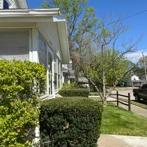 Bush Trimming by Arts Landscaping & Maintenance reviewed on July 8, 2022