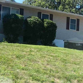 Bush Trimming by Crowder's lawn care reviewed on July 10, 2022