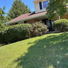 Bush Trimming by Price's Rite lawn care reviewed on July 17, 2022