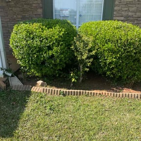 Flower Bed Weeding by Supreme Lawn Care and Junk Removal reviewed on April 8, 2025