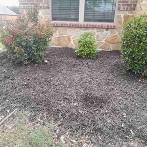 Weeding by DPR Land and Hardscape Design reviewed on July 16, 2022