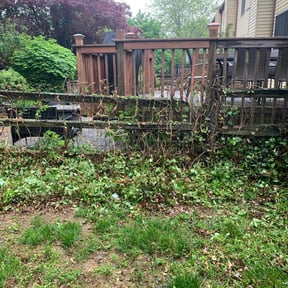 Cleanups by Odd.jobz landscaping solution reviewed on August 12, 2025
