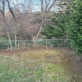Leaf Removal by Good Fellas Landscaping reviewed on May 18, 2025