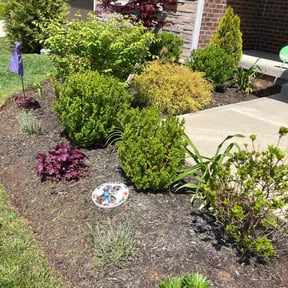 Flower Bed Weeding by JBI Property Service LLC reviewed on April 17, 2025