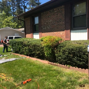 Bush Trimming by Elegant Lawn & Landscaping LLC reviewed on May 22, 2025