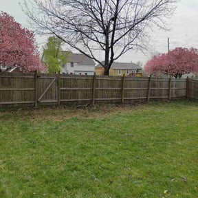 Leaf Removal by Kinge lawn care and more llc. reviewed on June 27, 2022