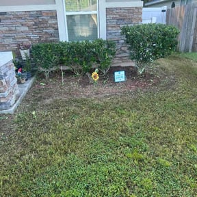Bush Trimming by Family Roots Lawn Care reviewed on September 7, 2024
