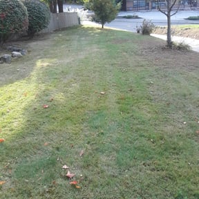 Leaf Removal by Tony's lawn services/Plowing reviewed on November 25, 2021