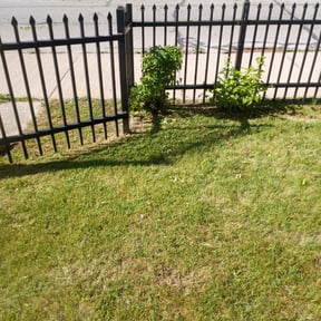 Bush Trimming by Choice Specialties LLC reviewed on April 15, 2022