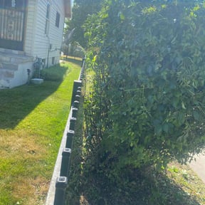 Bush Trimming by WLC Lawn Care reviewed on April 30, 2025
