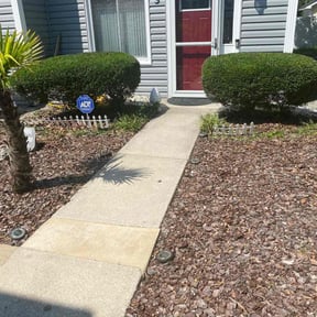 Bush Trimming by Year Round Landscape reviewed on August 15, 2024