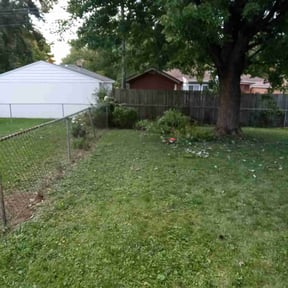 Bush Trimming by Kingsmen Landscaping reviewed on June 28, 2025