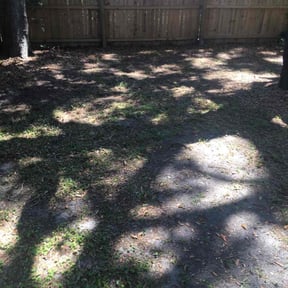 Leaf Removal by Drayton Boys Lawn Service reviewed on April 29, 2022