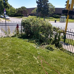 Bush Trimming by VonBerge Family Lawncare reviewed on November 15, 2024