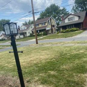 Leaf Removal by Krispy Kutz Landscaping & More reviewed on September 5, 2024