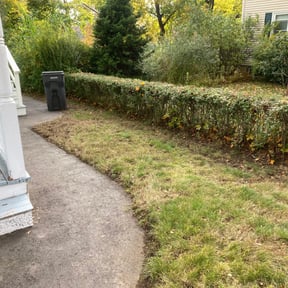 Leaf Removal by Robert Bond Sr reviewed on June 2, 2022