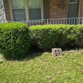 Bush Trimming by Cardinal Curb Appeal reviewed on April 15, 2022