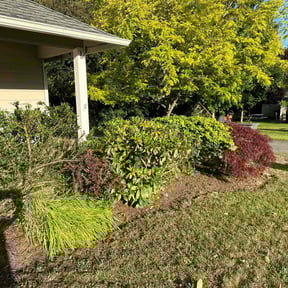 Bush Trimming by PRO EDIFICE SOLUTIONS LLC reviewed on August 8, 2022