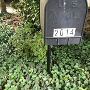 Bush Trimming by Sage LLC reviewed on July 3, 2025