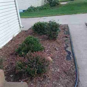 Bush Trimming by Javier's Lawn Care Services reviewed on April 26, 2022