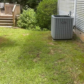 Bush Trimming by Bo's lawn care reviewed on July 20, 2022