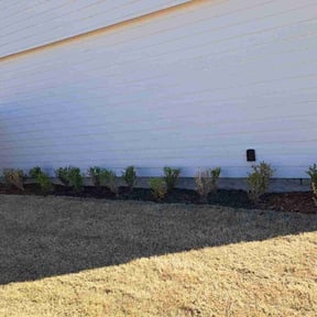 Flower Bed Weeding by Cutter's reviewed on June 18, 2022