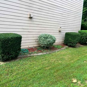 Bush Trimming by Miller Lawn Service reviewed on June 30, 2022