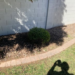 Bush Trimming by maintenance and landscaping reviewed on May 23, 2025