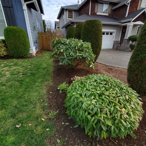 Cleanups by Robert Dukes Kut Pro Lawn Maintenance reviewed on May 3, 2022