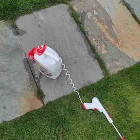 Flower Bed Weeding by Professinal Yard Men reviewed on October 29, 2021