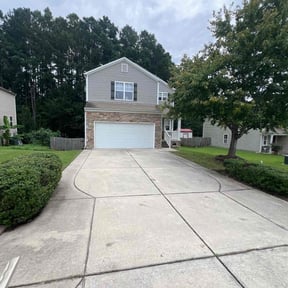 Bush Trimming by Limitless lawn care llc reviewed on May 8, 2025